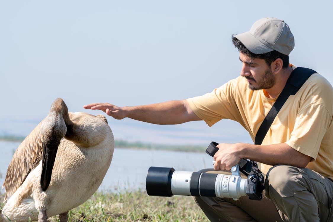 birds birding equipment